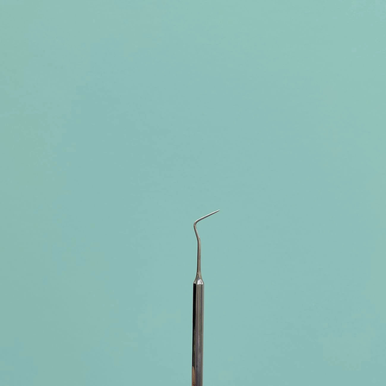 portrait of a cleaning expert